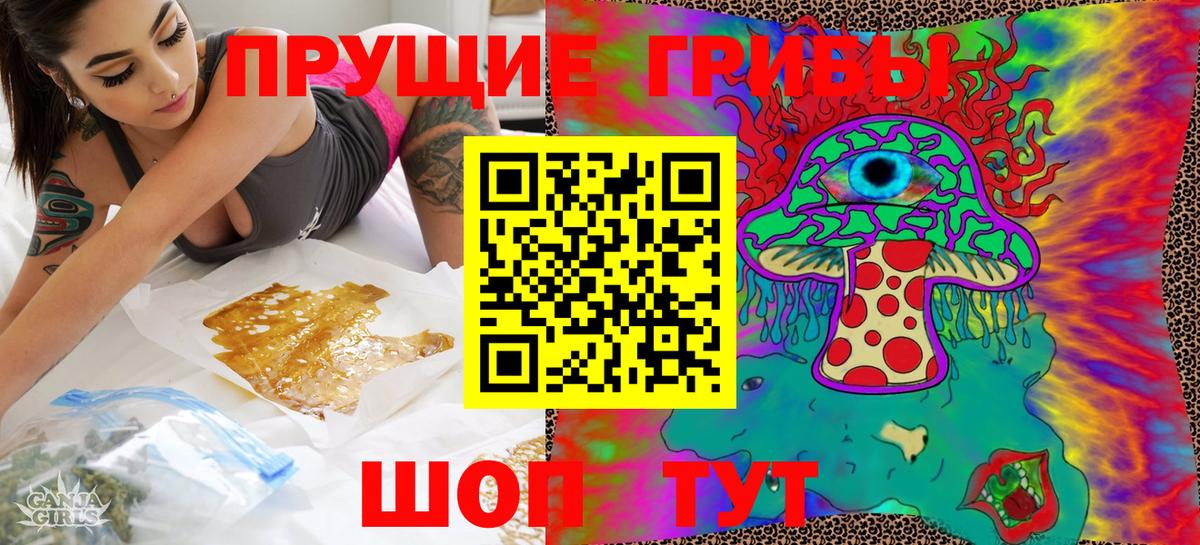 Кириши  Галлюциногенные грибы мицелий  Псилоцибиновые грибы мухоморы  Вход с VPN 