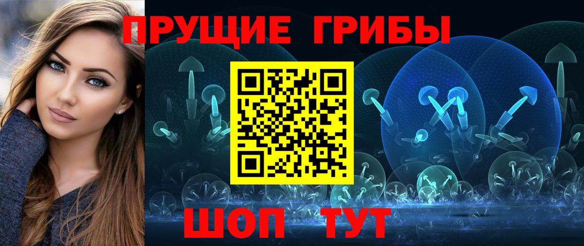 Псилоцибиновые грибы Psilocybine cubensis Кириши