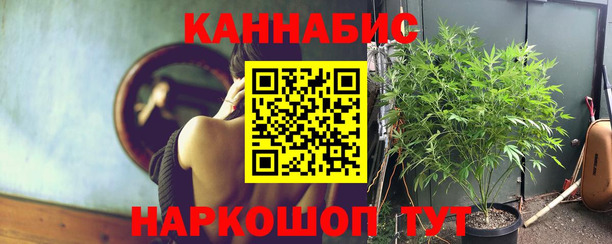 Кириши  Бошки Шишки VHQ  Вход с VPN  Бошки марихуана OG Kush 